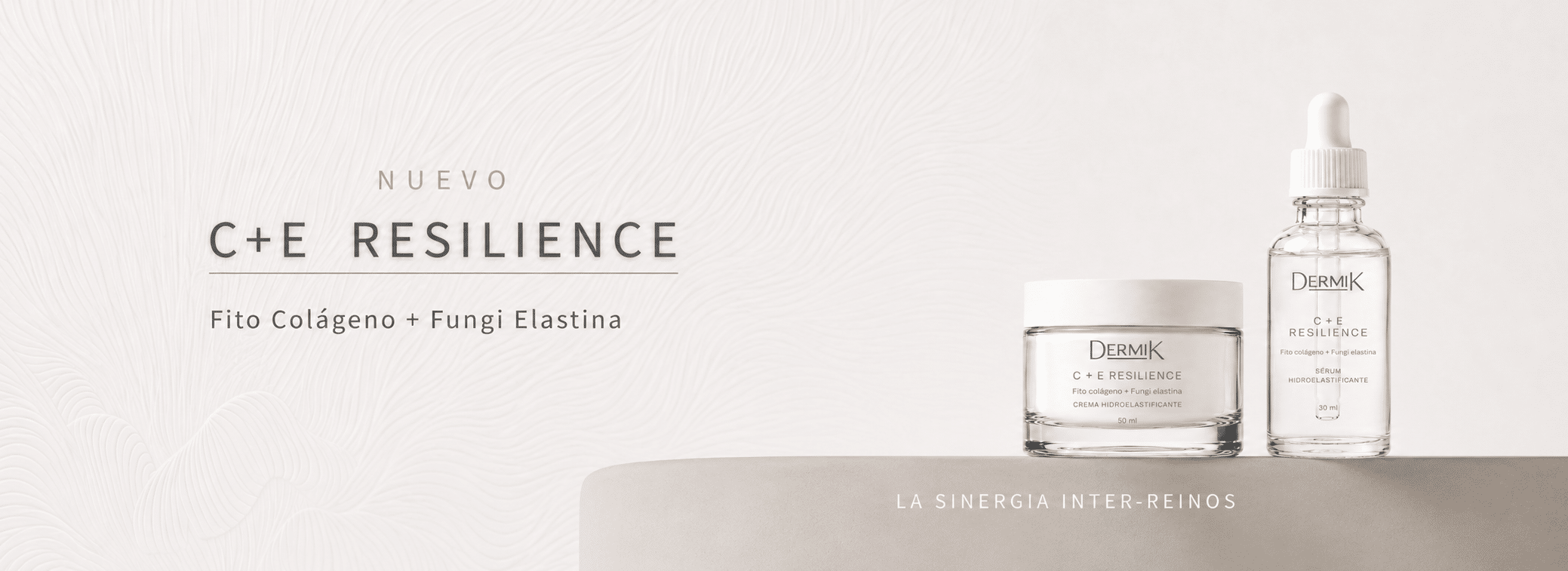 C+E Resilience - Dermik